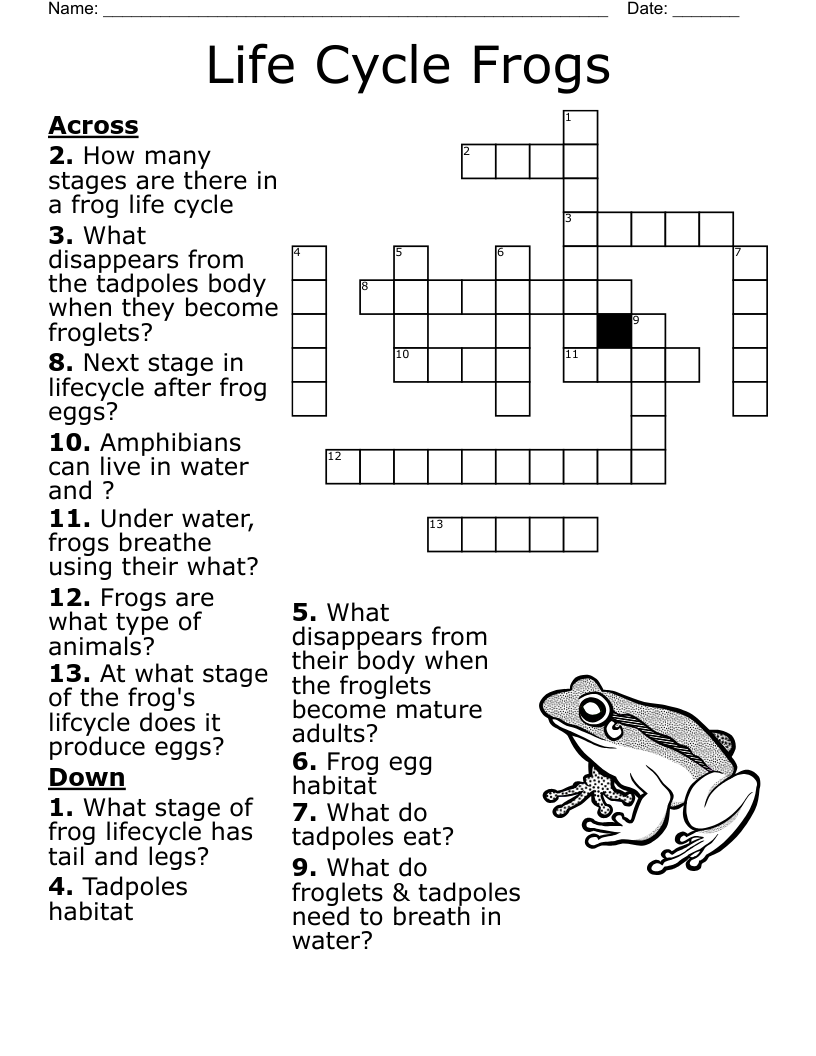 Life Cycle Frogs Crossword