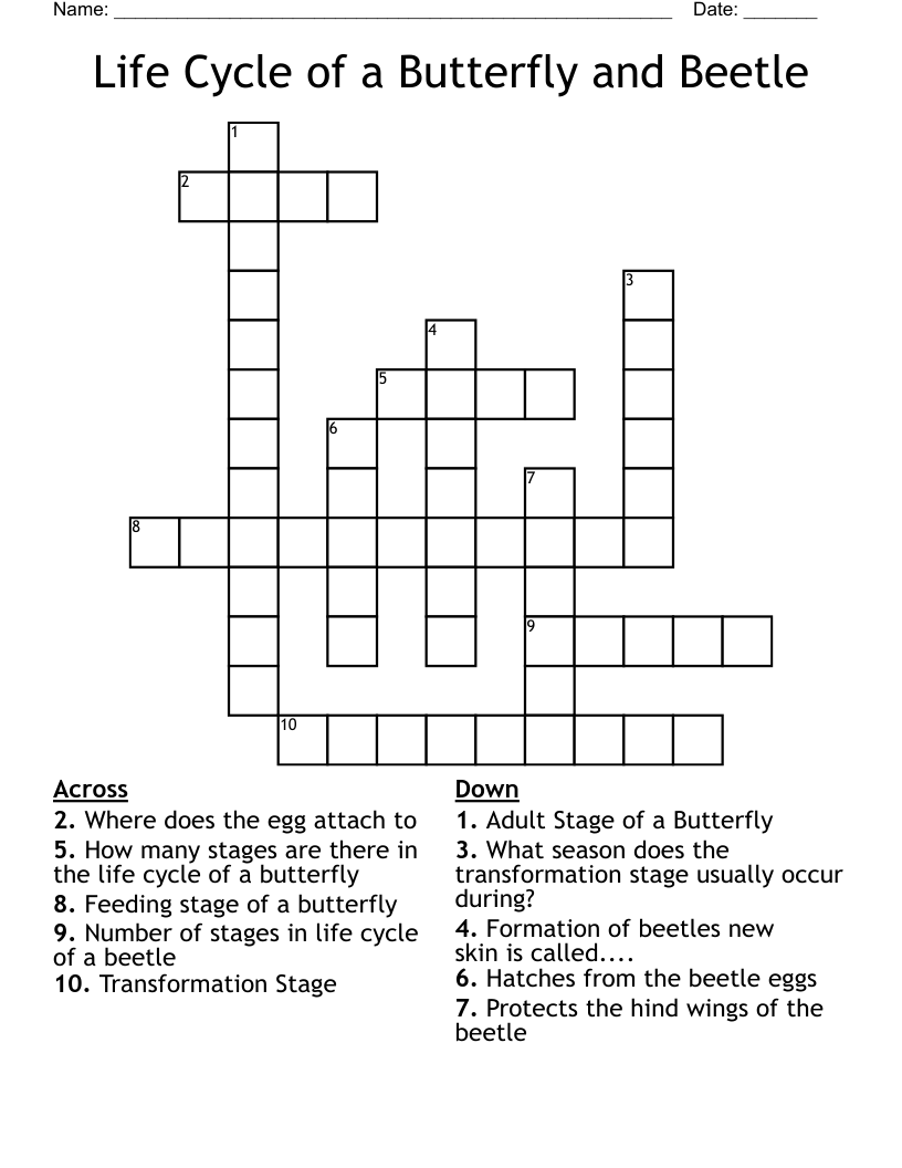Life Cycle of a Butterfly and Beetle Crossword
