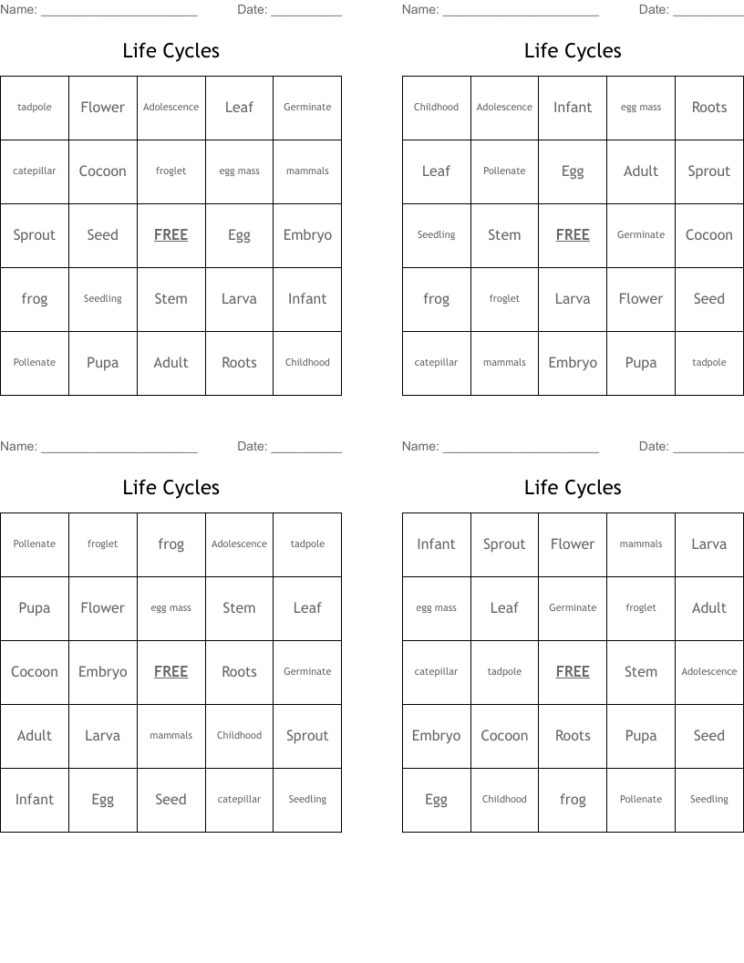 Life Cycles Bingo Cards
