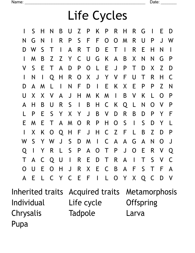 Life Cycles Word Search