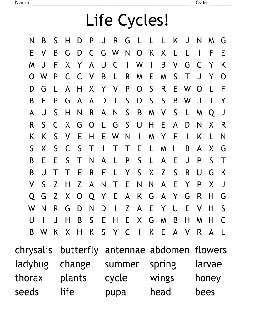 Life Cycles! Word Search