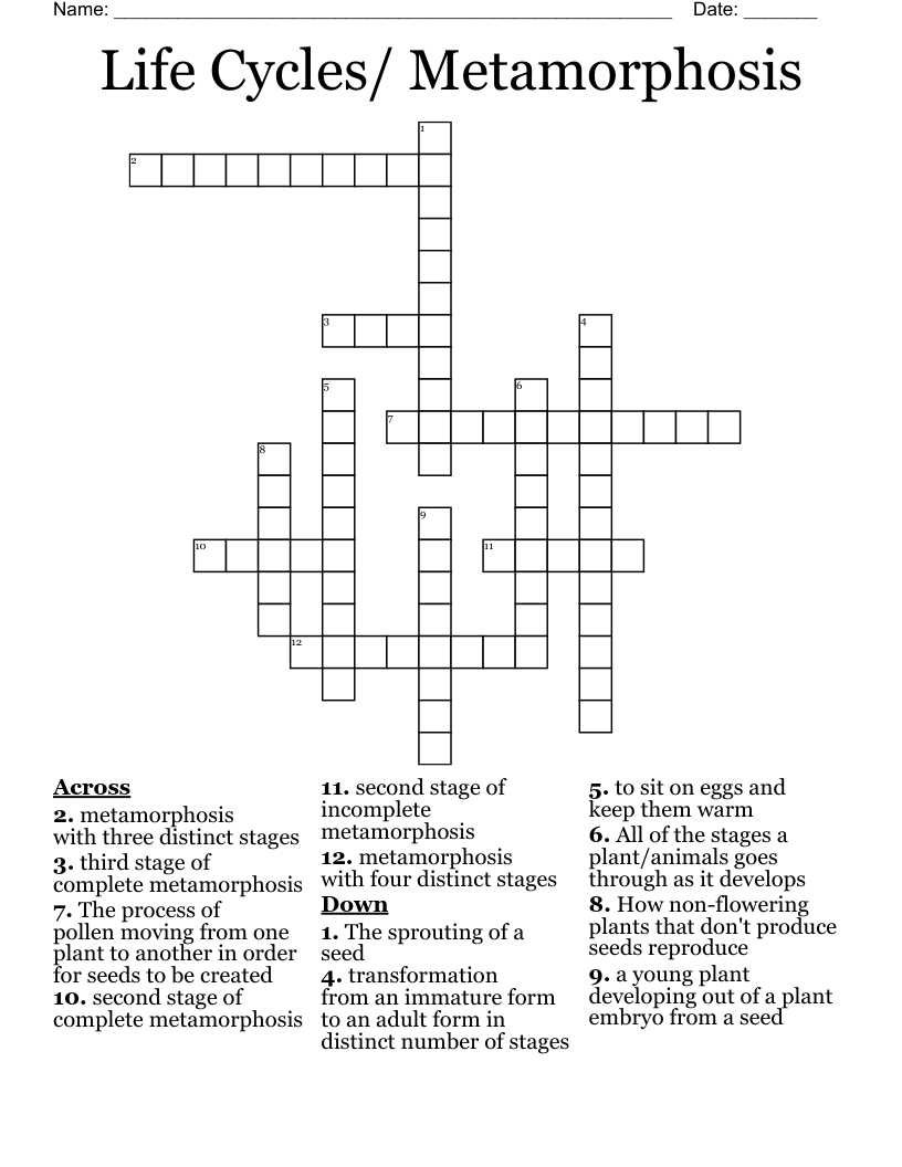 Life Cycles/ Metamorphosis Crossword