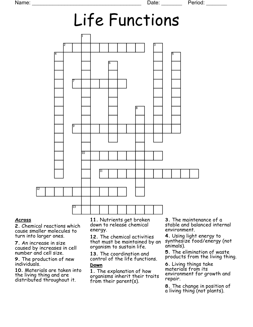 Life Functions Crossword
