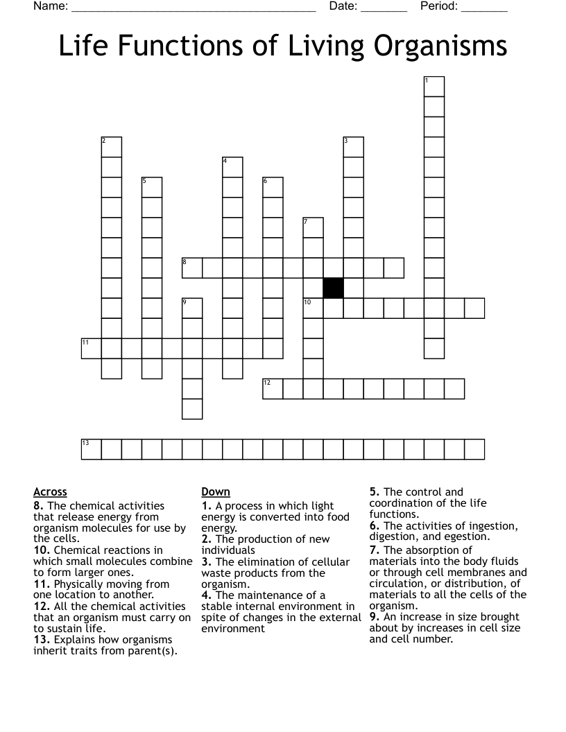 Life Functions of Living Organisms Crossword