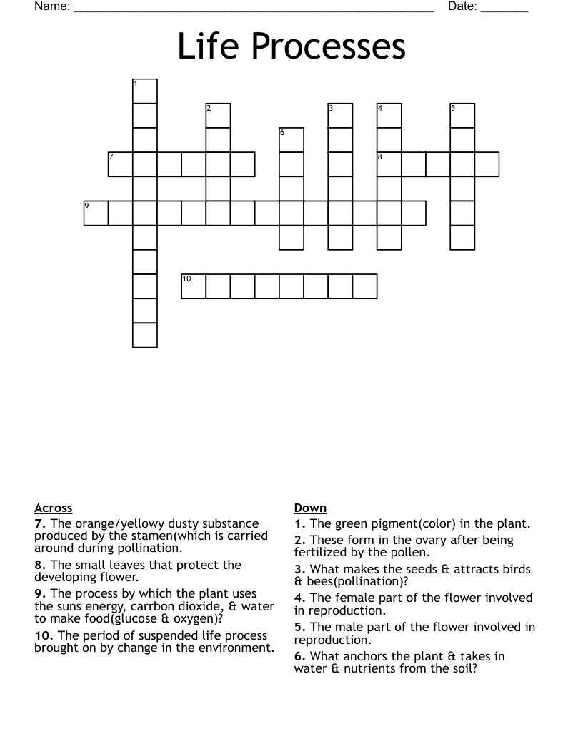 Life Processes Crossword