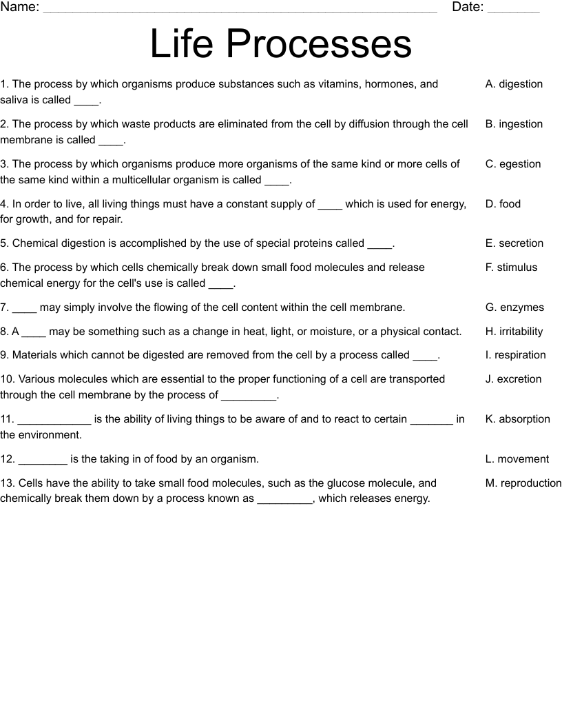 Life Processes Worksheet