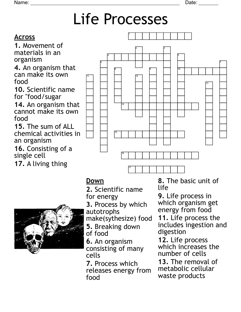 Life Processes Crossword