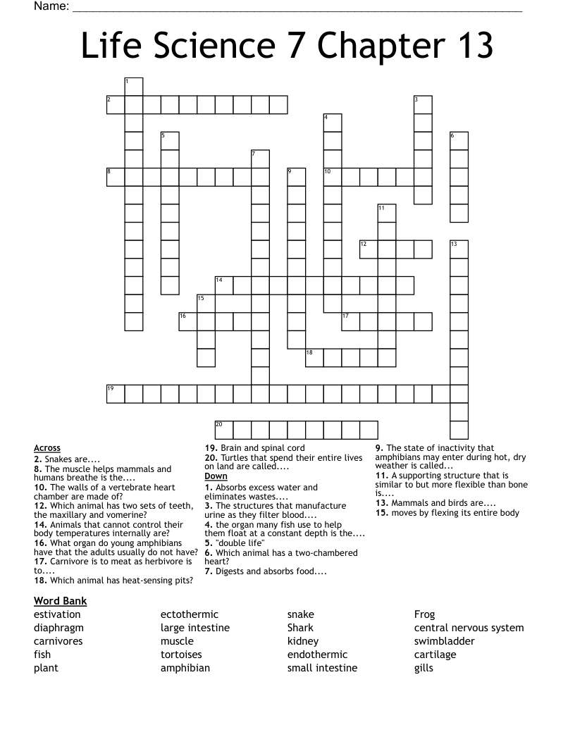 Life Science 7 Chapter 13 Crossword
