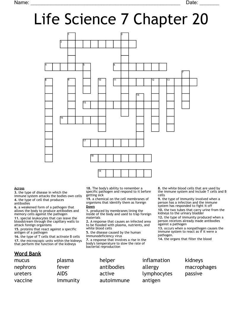 Life Science 7 Chapter 20 Crossword