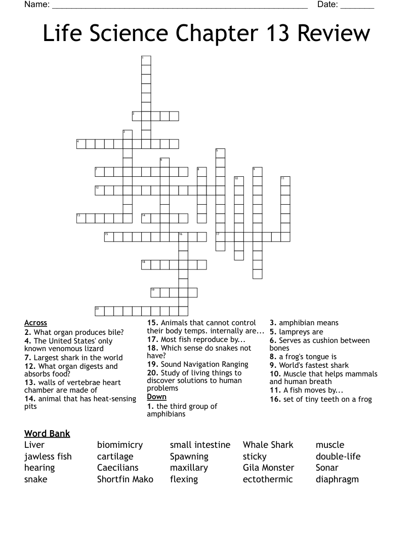 Life Science Chapter 13 Review Crossword