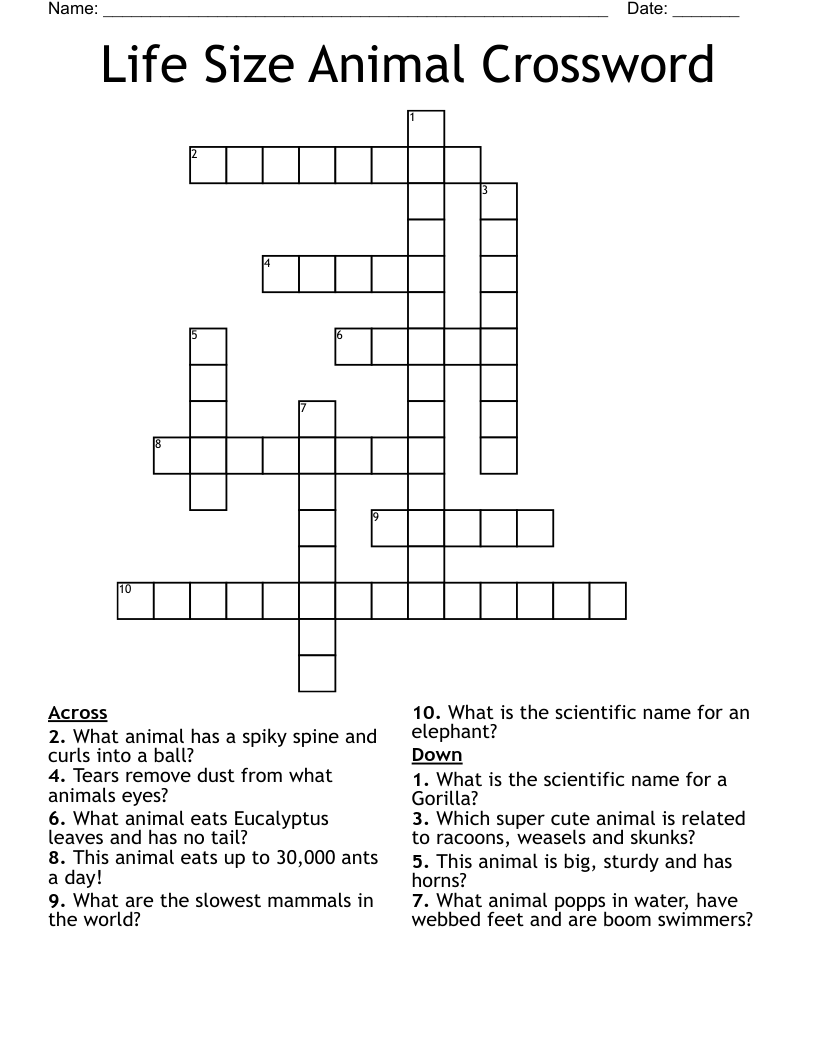 Life Size Animal Crossword