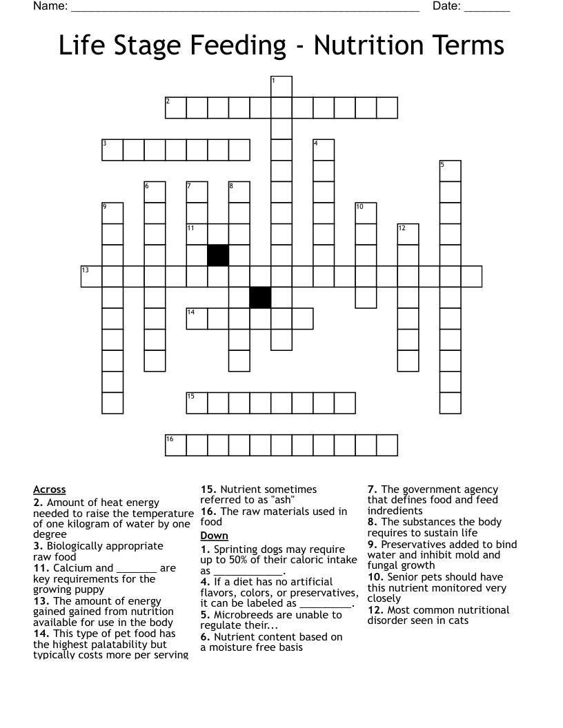 Life Stage Feeding - Nutrition Terms Crossword