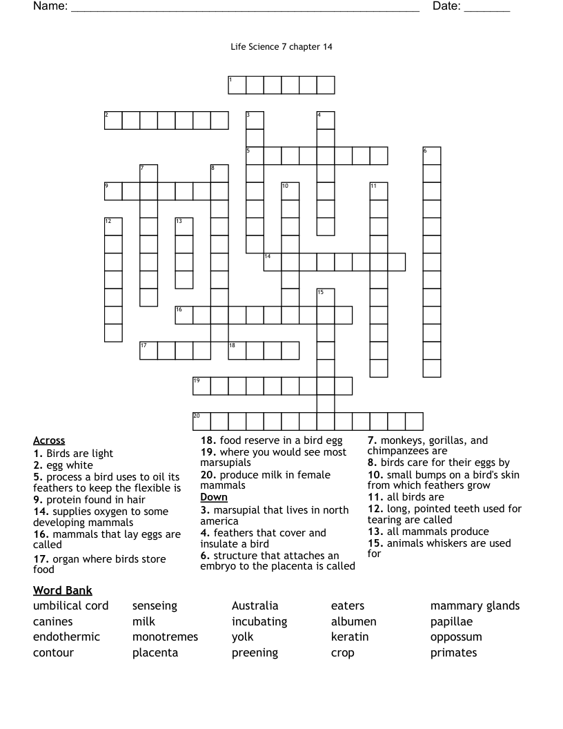 Life  Science 7 chapter 14                                                                                                                                Crossword