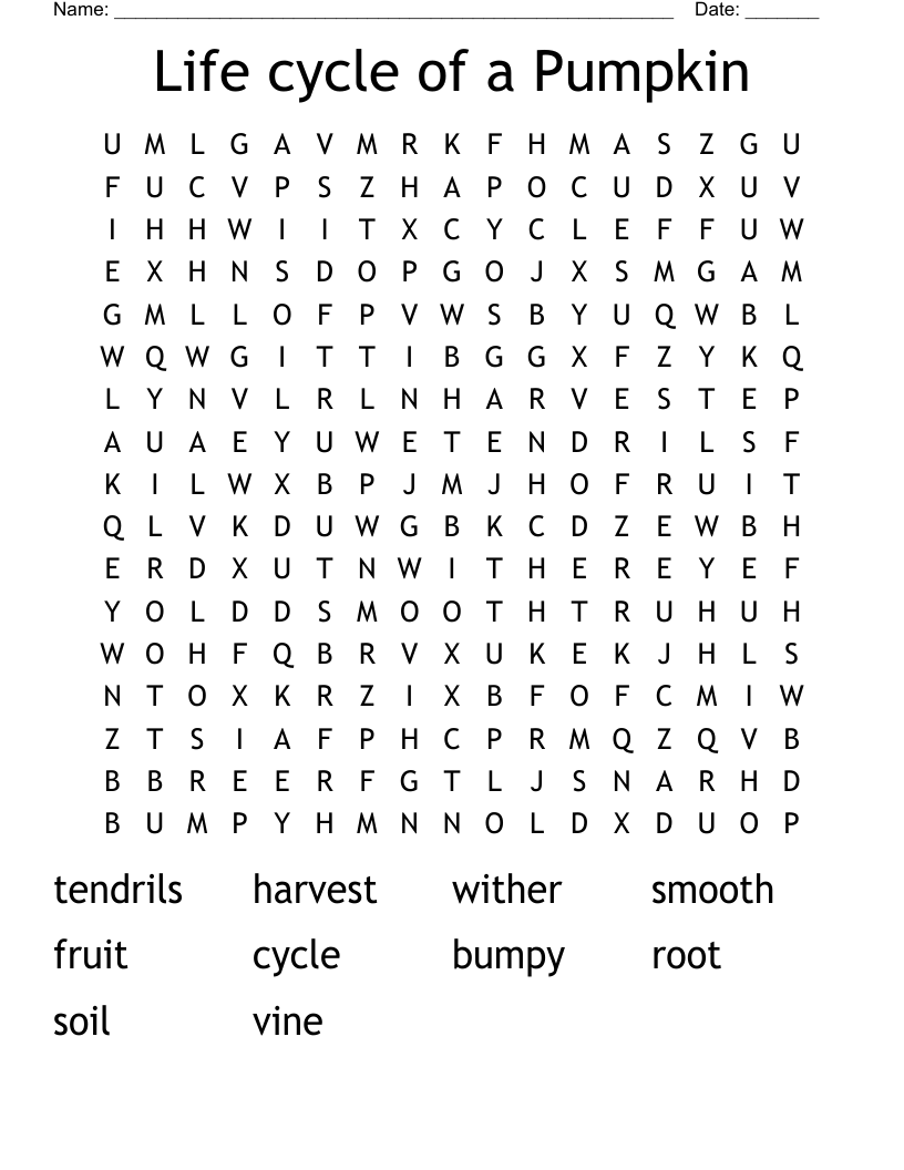 Life cycle of a Pumpkin Word Search