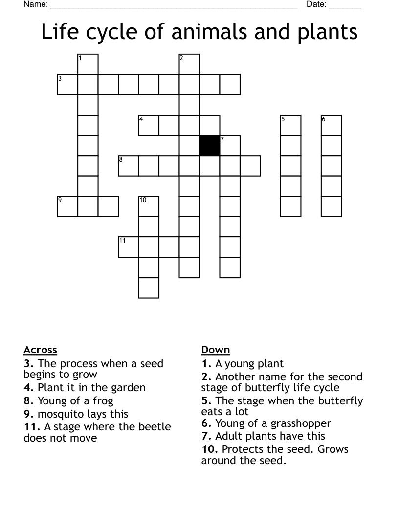 Life cycle of animals and plants Crossword