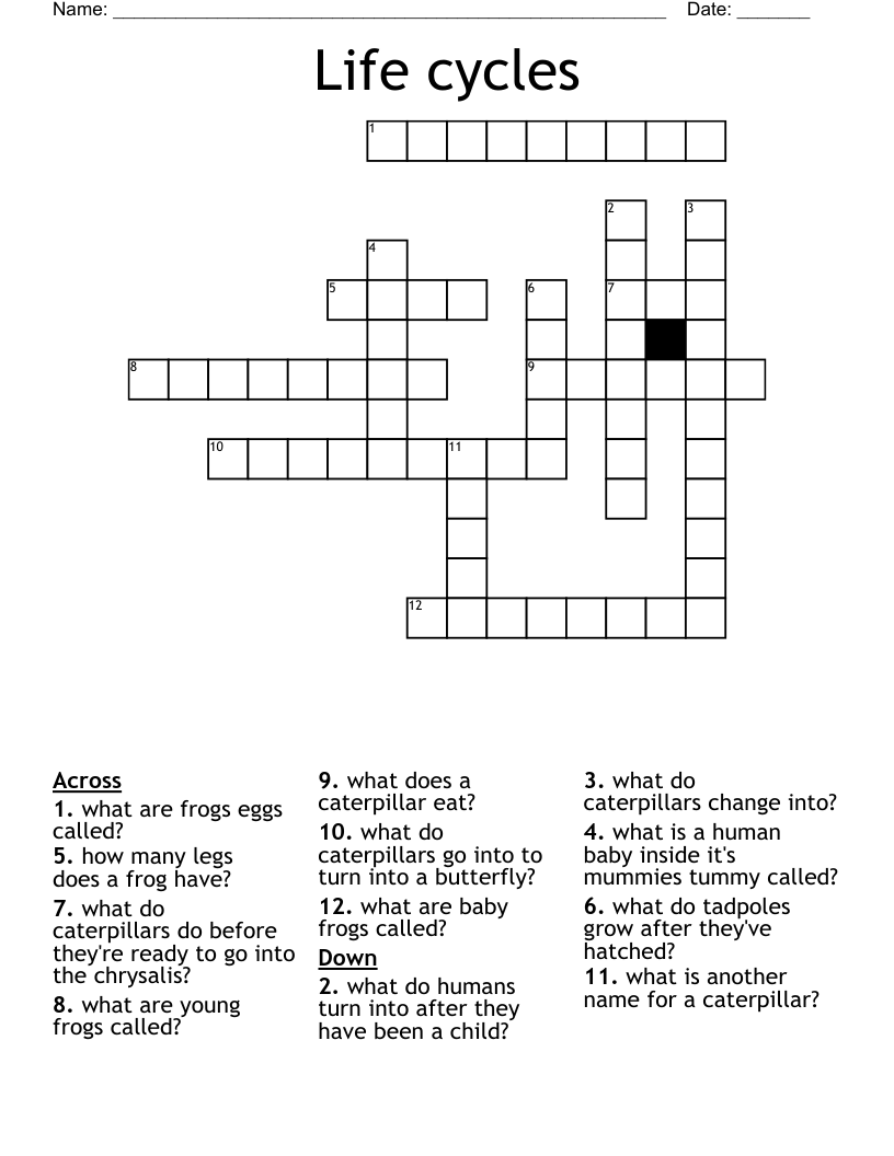Life cycles Crossword