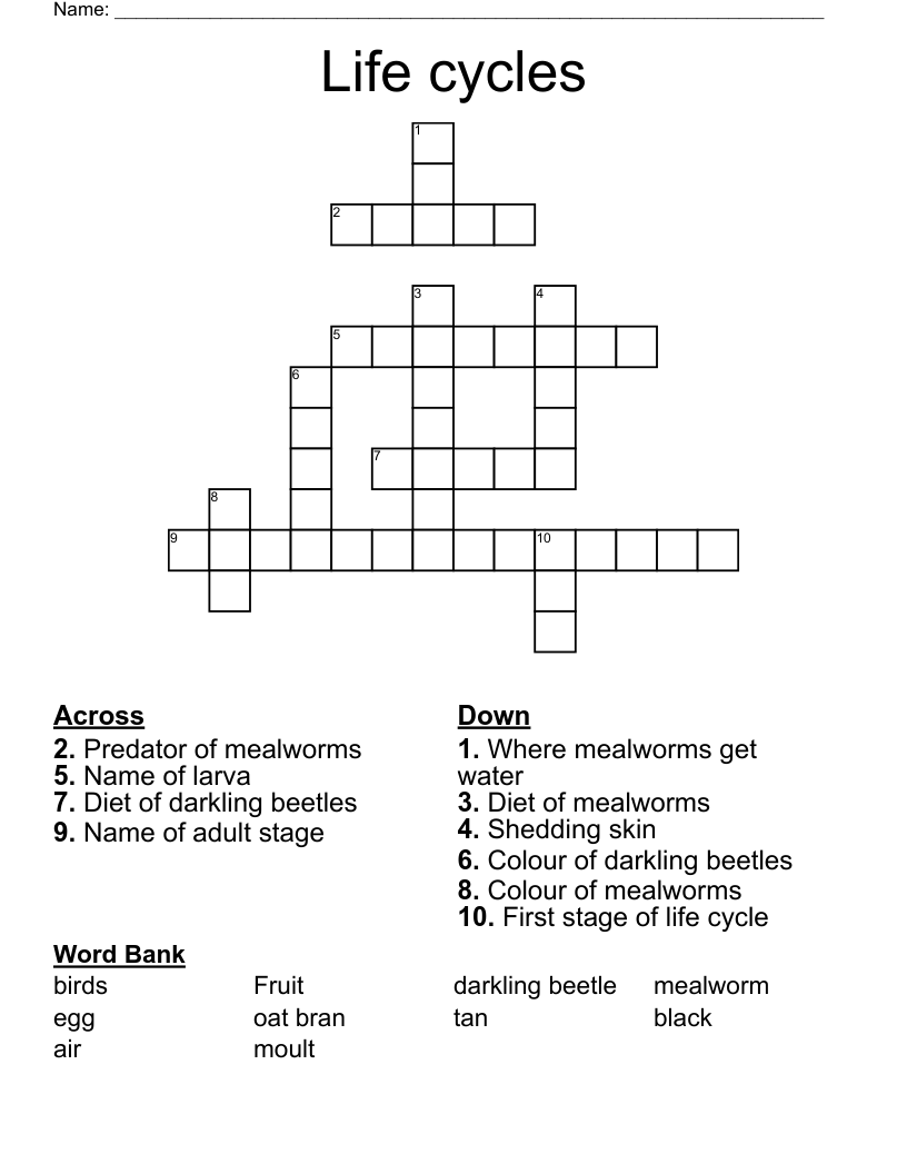 Life cycles Crossword