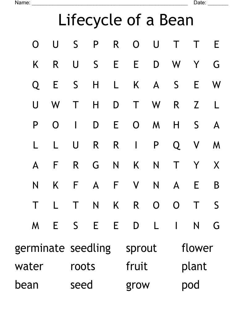 Lifecycle of a Bean Word Search