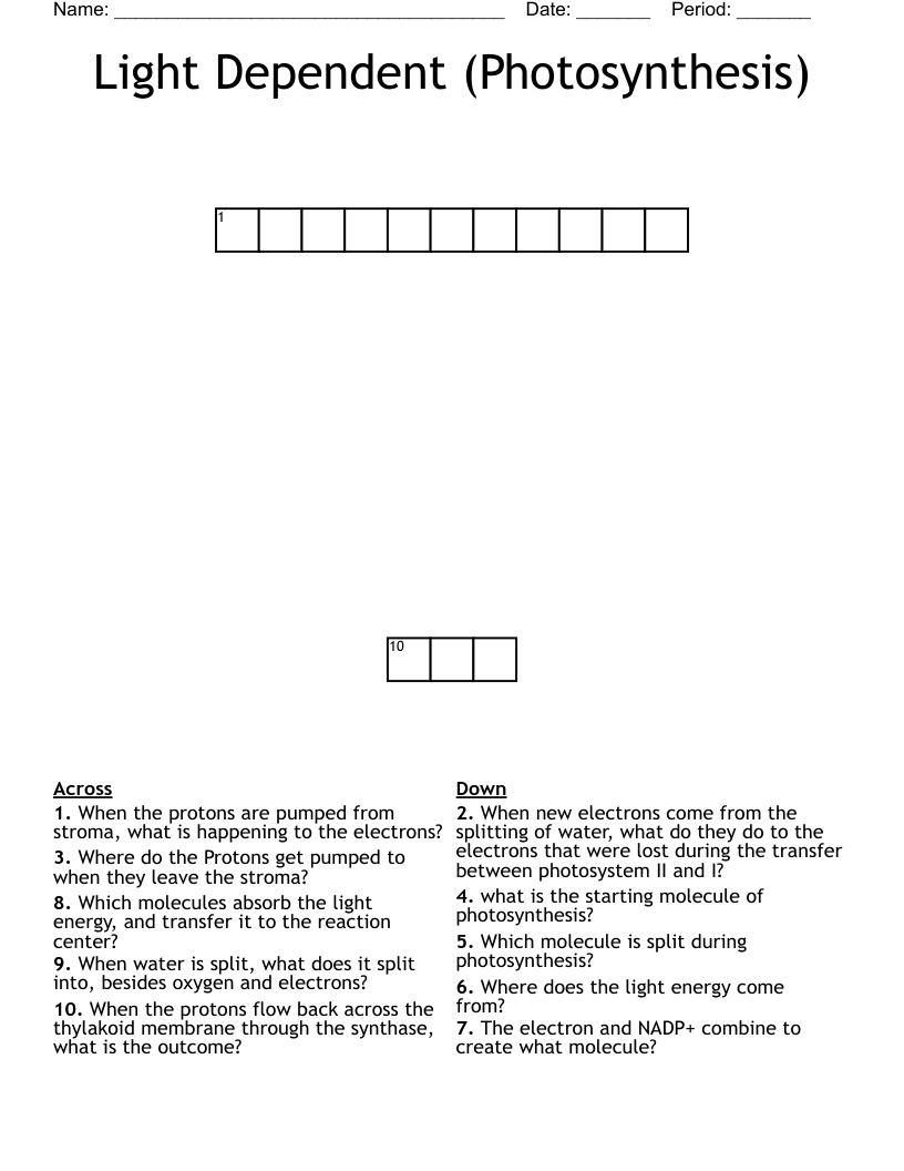 Light Dependent (Photosynthesis) Crossword