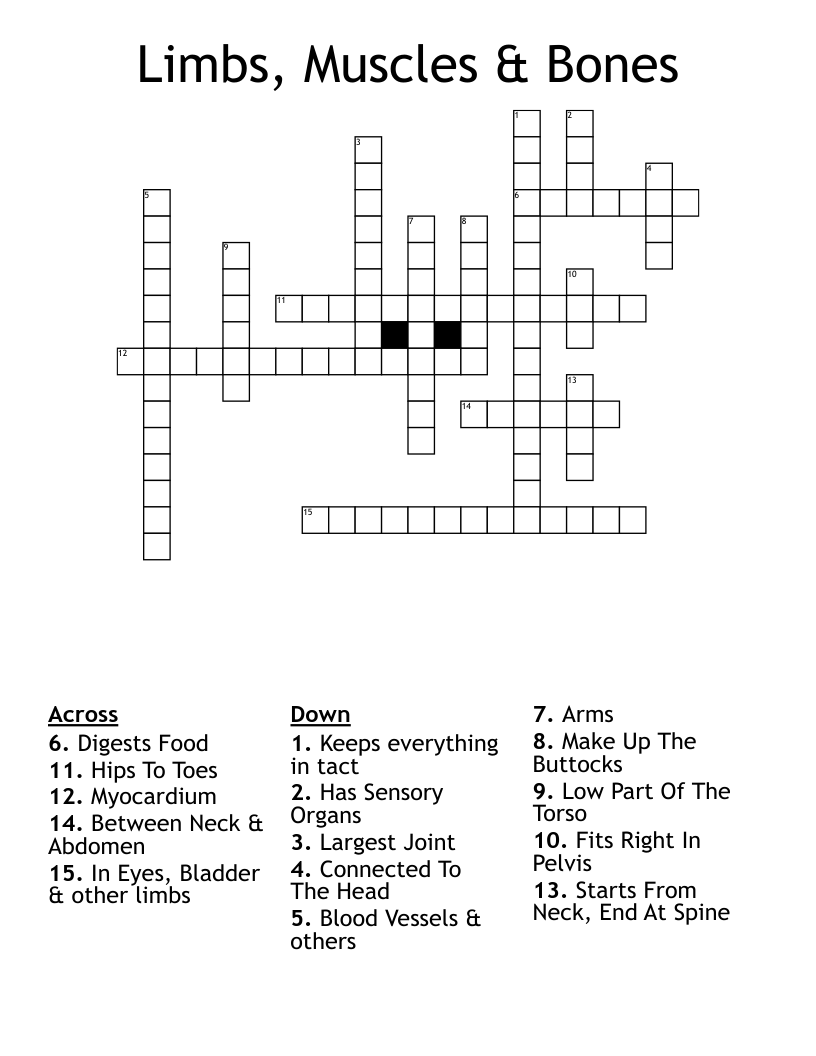 Limbs, Muscles & Bones Crossword