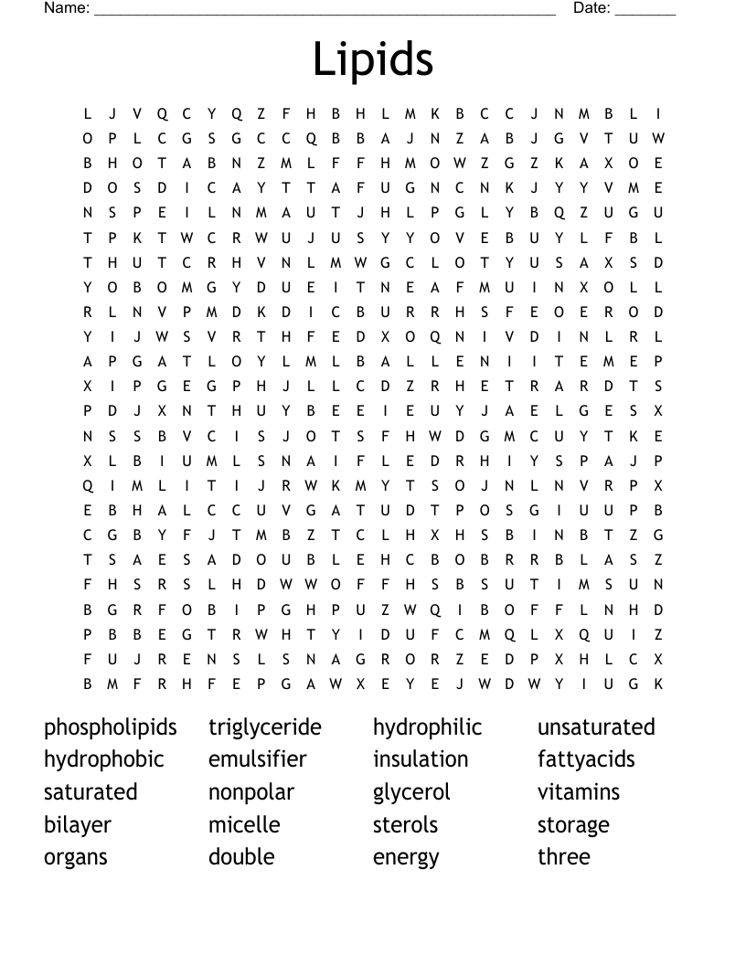 Lipids Word Search