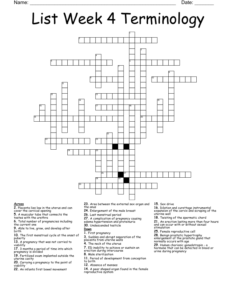List Week 4 Terminology  Crossword