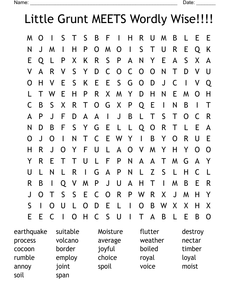 Little Grunt MEETS Wordly Wise!!!! Word Search
