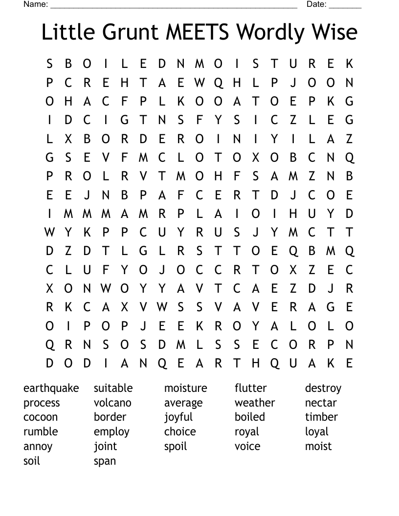 Little Grunt MEETS Wordly Wise Word Search