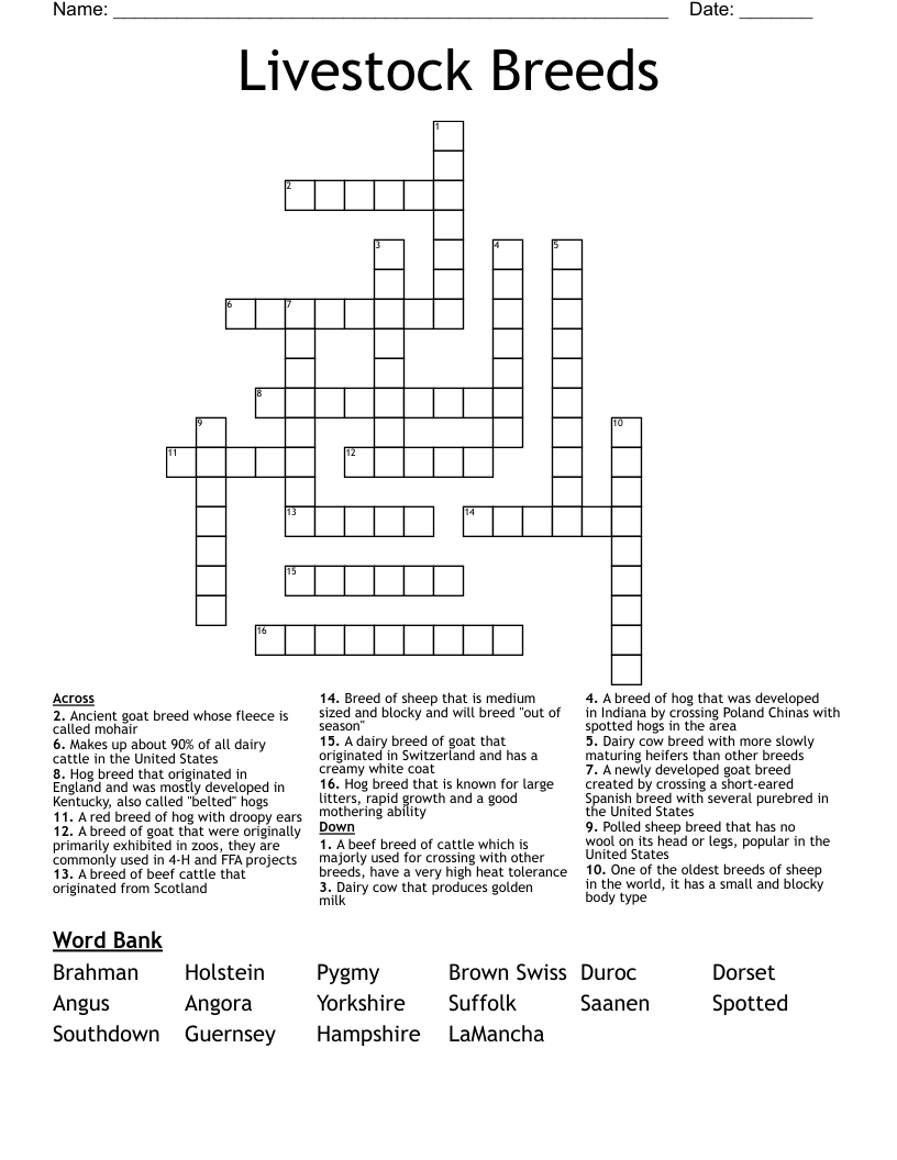 Livestock Breeds Crossword