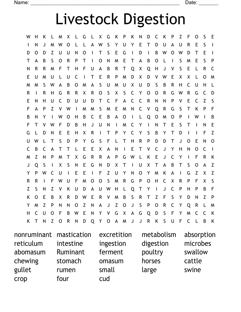 Livestock Digestion Word Search