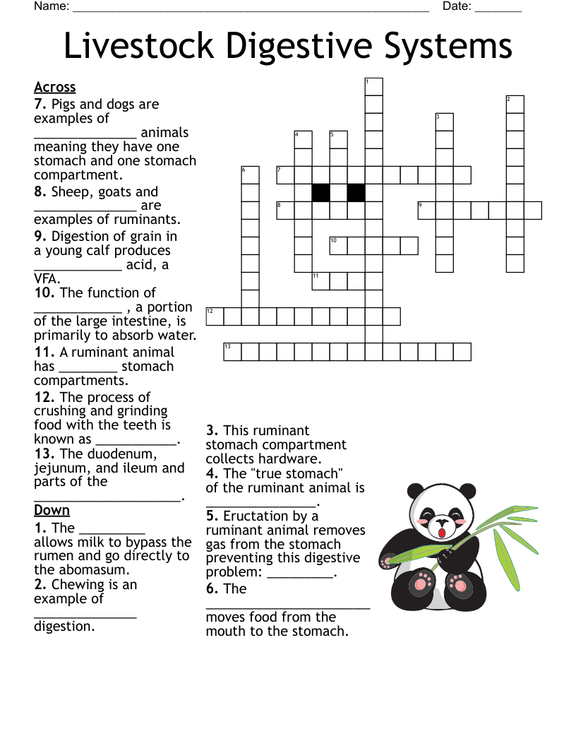 Livestock Digestive Systems Crossword