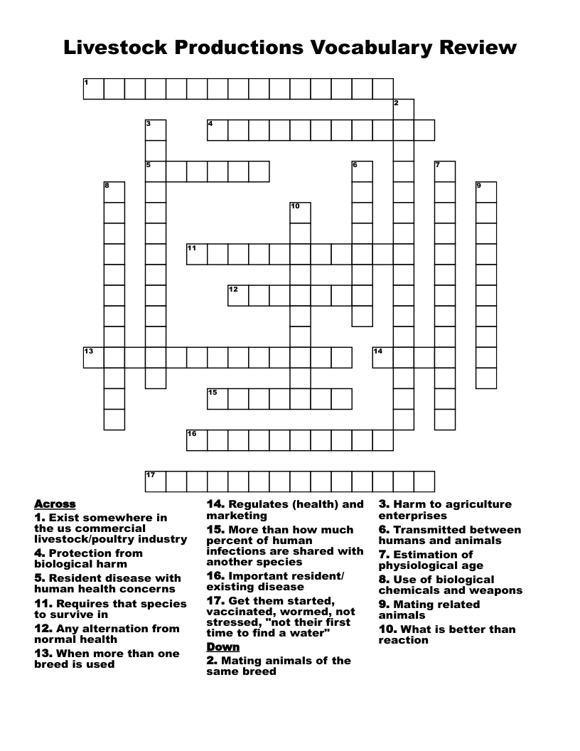 Livestock Productions Vocabulary Review  Crossword