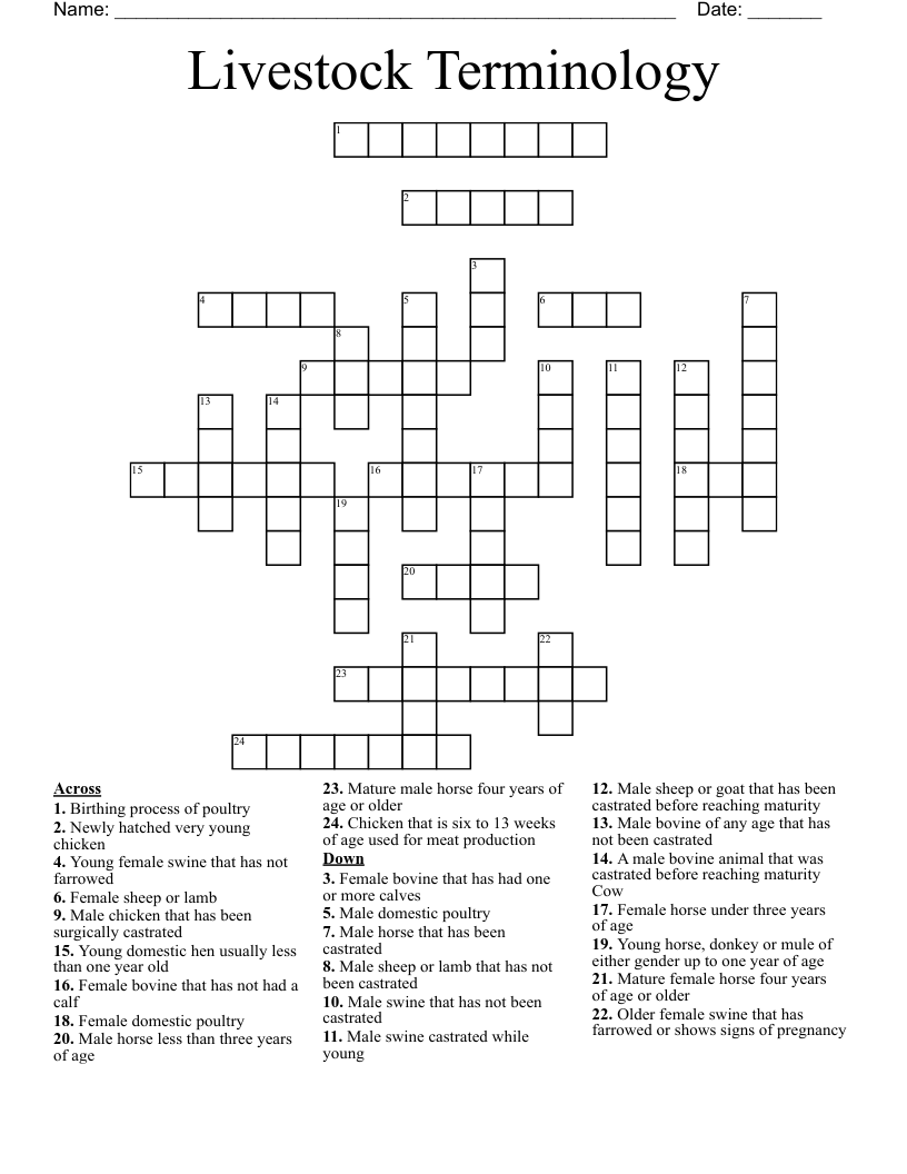 Livestock Terminology Crossword