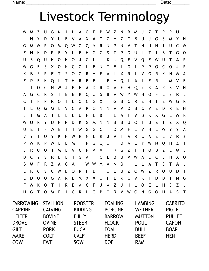 Livestock Terminology Word Search