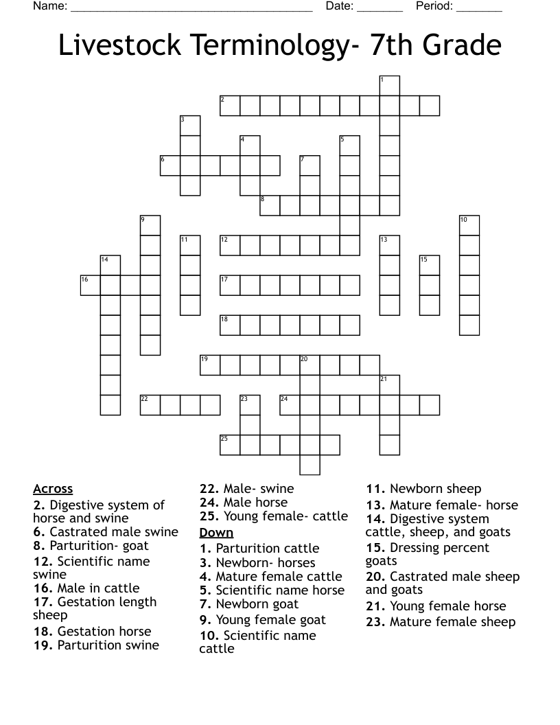 Livestock Terminology- 7th Grade Crossword