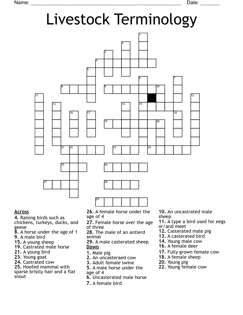 Livestock Terminology Crossword