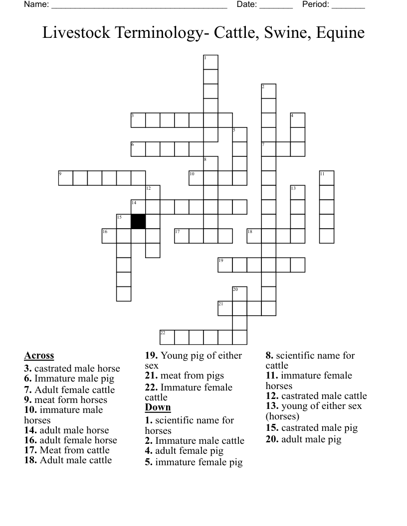 Livestock Terminology- Cattle, Swine, Equine Crossword