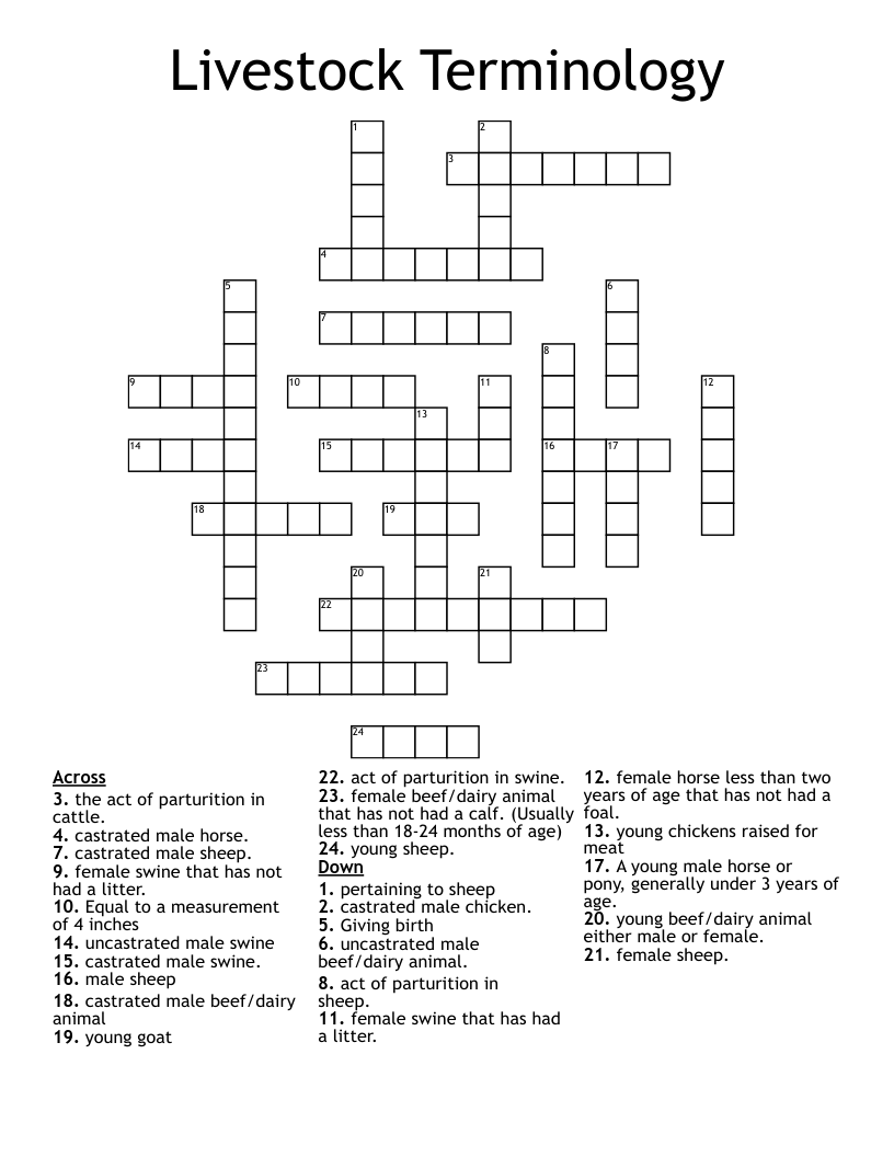 Livestock Terminology  Crossword