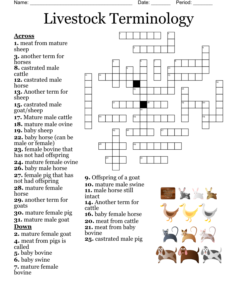 Livestock Terminology  Crossword