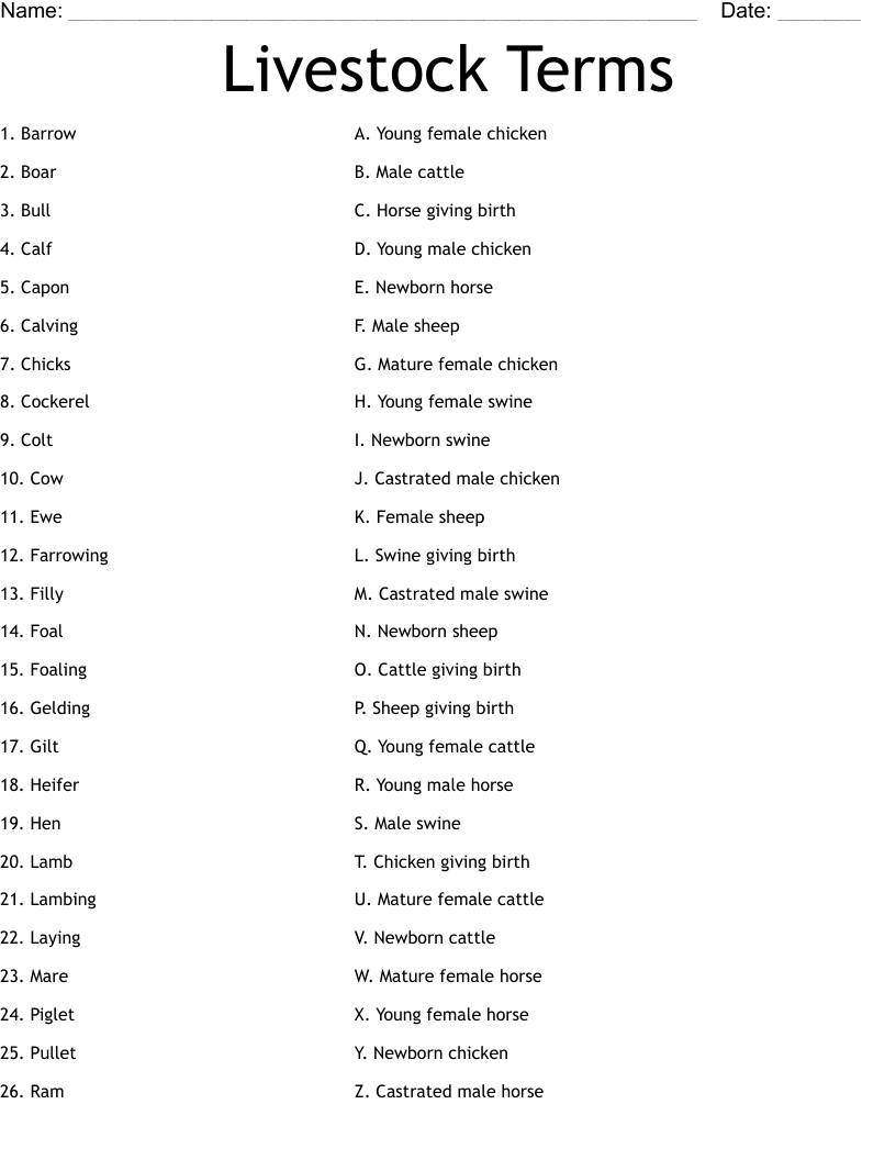 Livestock Terms Worksheet