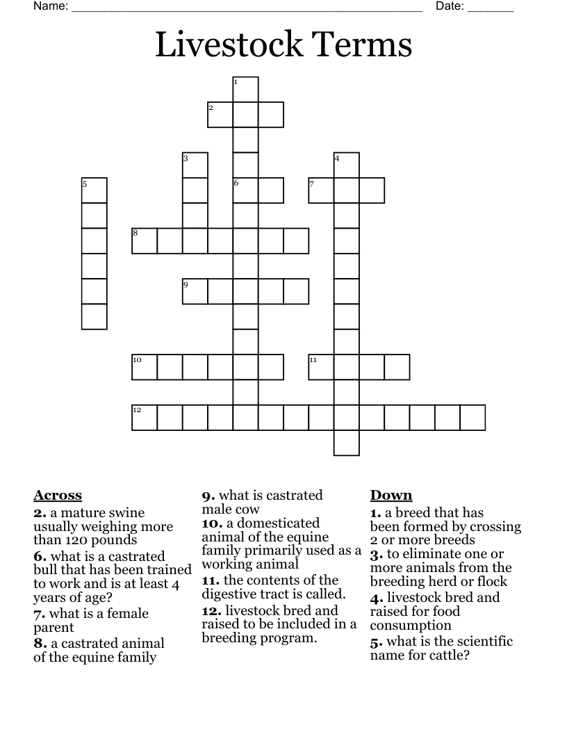 Livestock Terms Crossword