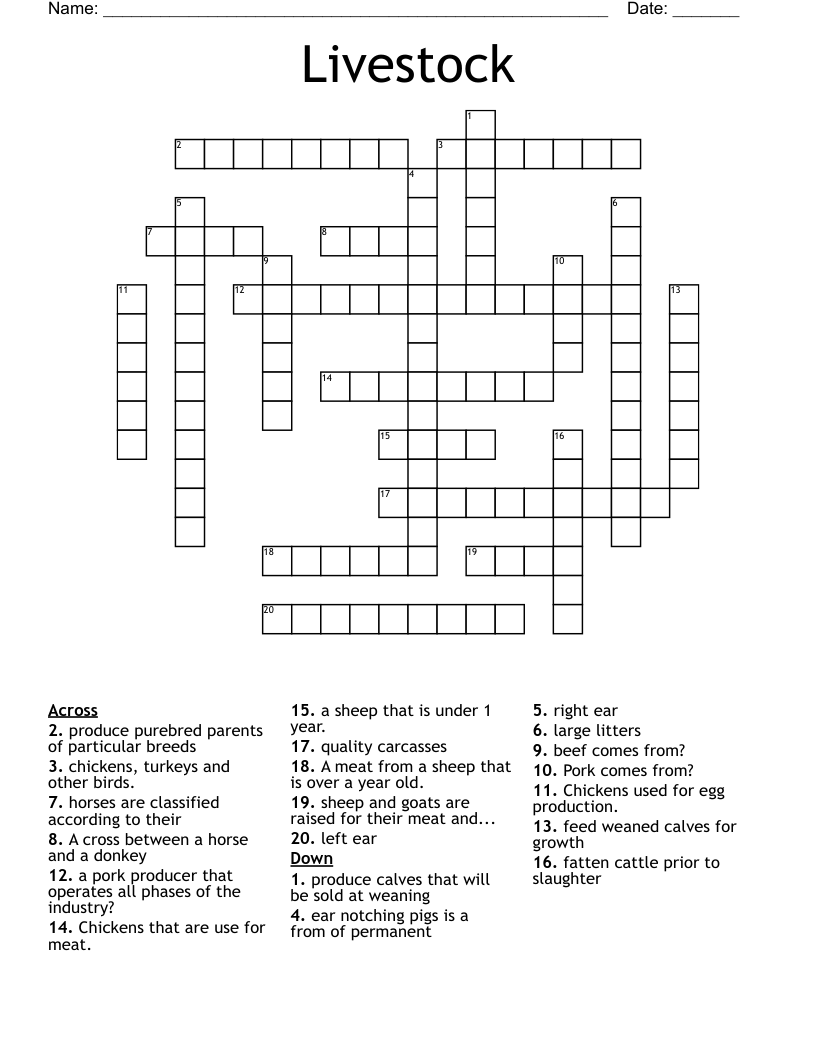 Livestock  Crossword