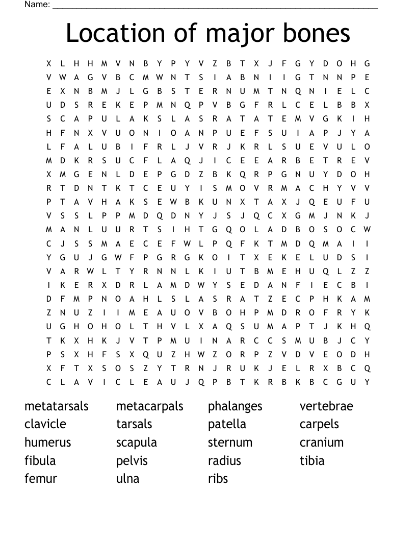 Location of major bones Word Search
