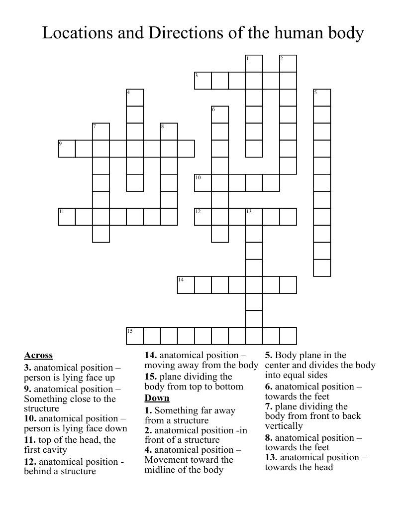 Locations and Directions of the human body Crossword