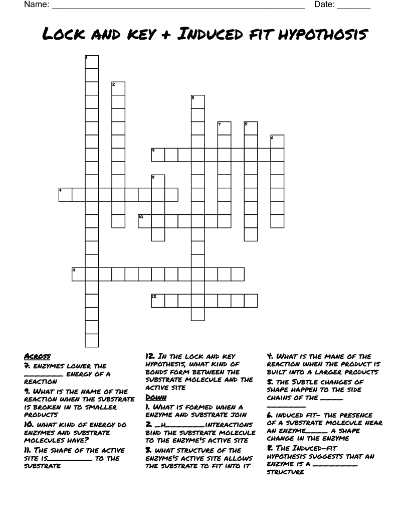 Lock and key + Induced fit hypothosis Crossword