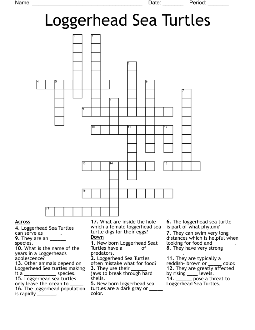 Loggerhead Sea Turtles Crossword