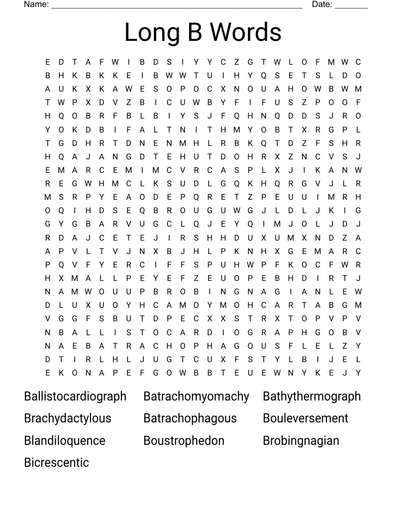 Long B Words Word Search