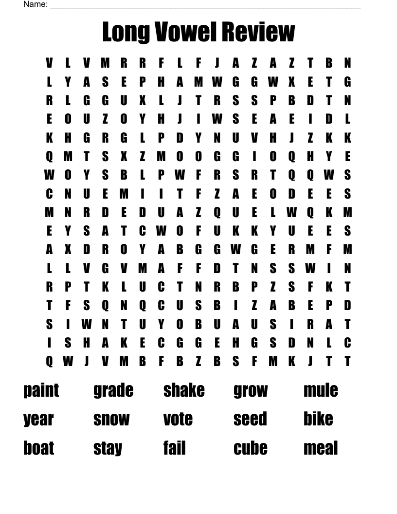 Long Vowel Review Word Search