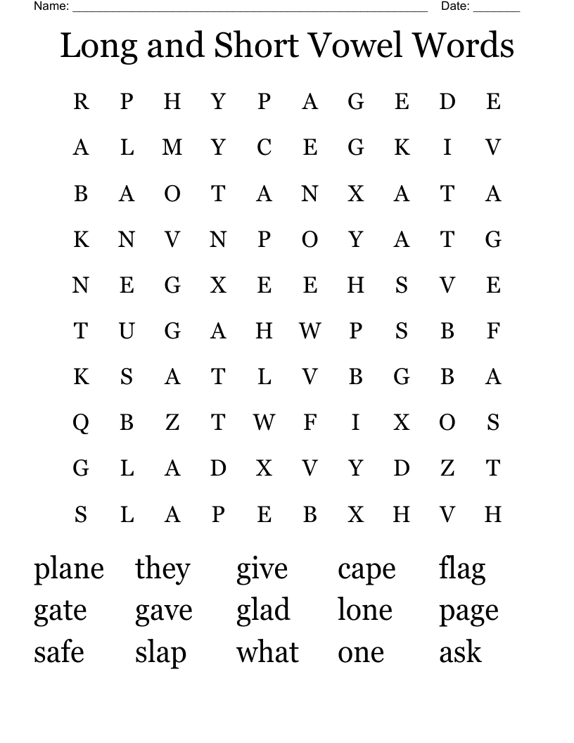 Long and Short Vowel Words Word Search