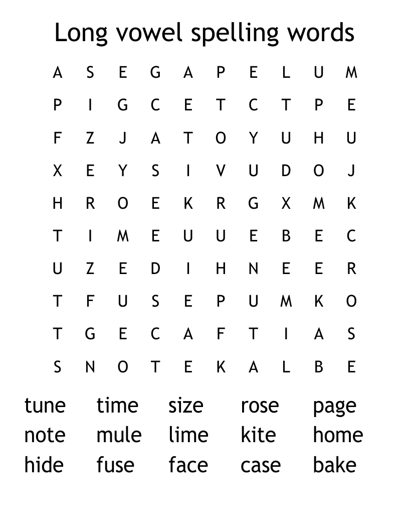 Long vowel spelling words Word Search